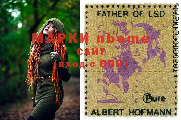 сатива Каменногорск
