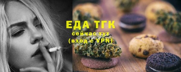 сатива Каменка