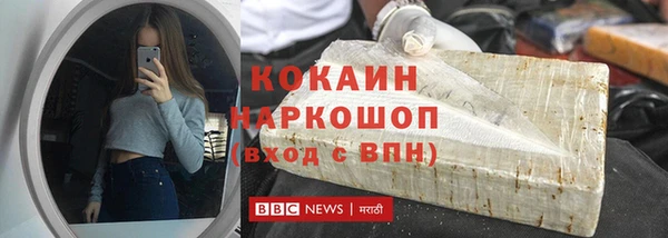 сатива Каменка