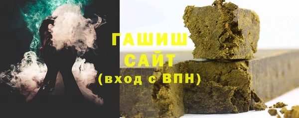 сатива Каменка