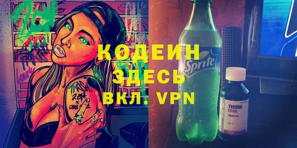 сатива Каменка
