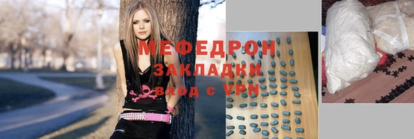 сатива Каменка
