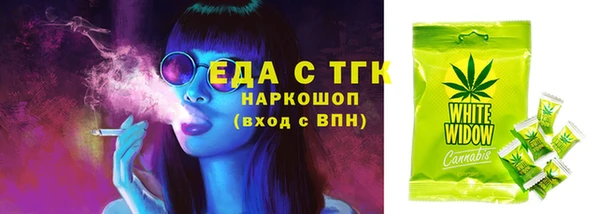 сатива Каменногорск