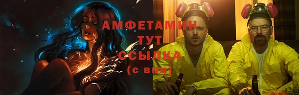 сатива Каменногорск
