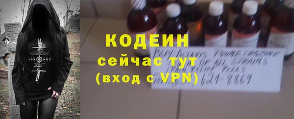 сатива Каменка