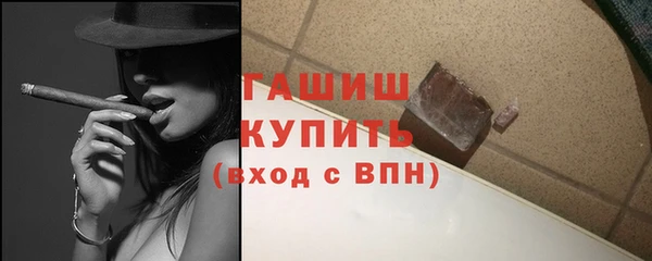 сатива Каменка