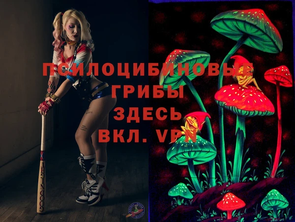 ешки Касимов
