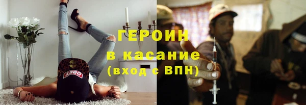 сатива Каменка