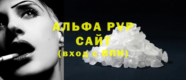 спиды Каменск-Шахтинский