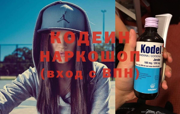 сатива Каменка