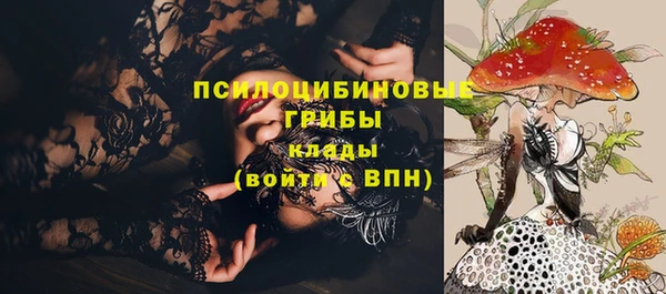 сатива Каменка