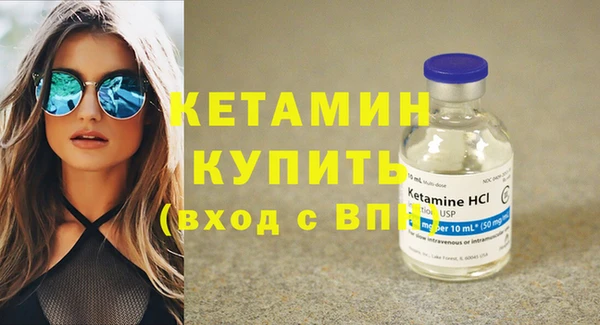 сатива Каменка