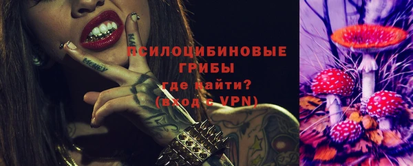 сатива Каменногорск