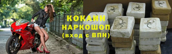 сатива Каменка