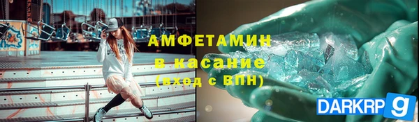сатива Каменка