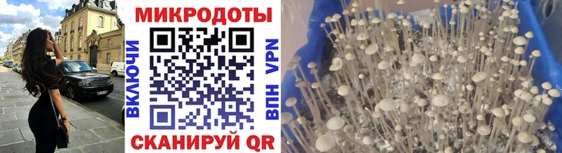 Галлюциногенные грибы GOLDEN TEACHER  Купить  Вяземский 